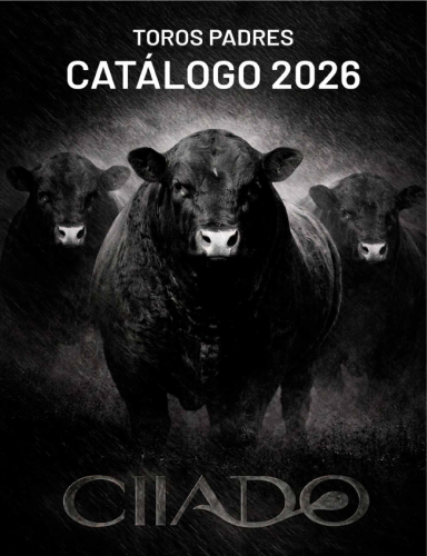 CIIADO-2026